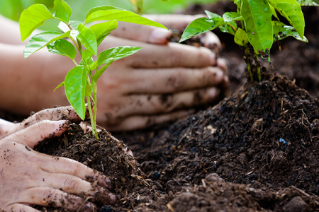 handen-kind-ouder-planten-shutterstock_649766830-vierk.png